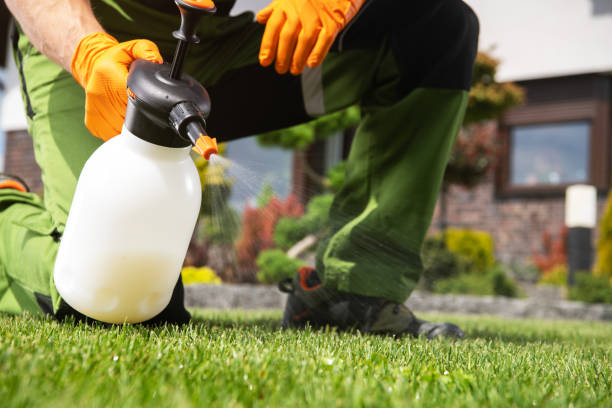 Best Emergency Pest Control  in Abilene, TX