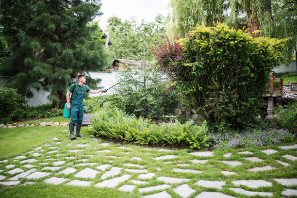 Best Best Pest Control Companies  in Abilene, TX