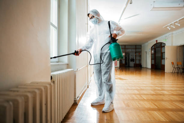 Best Pest Removal Services  in Abilene, TX