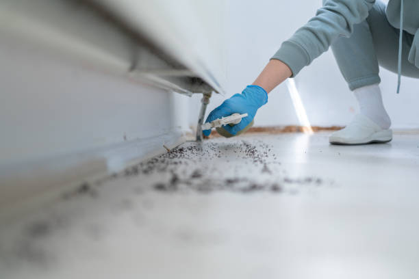 Abilene, TX Pest Control Company